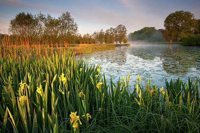 BUITEN BEELD Foto: 185752