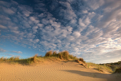 BUITEN BEELD Foto: 185767