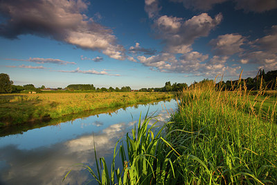 BUITEN BEELD Foto: 185769