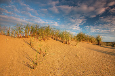 BUITEN BEELD Foto: 185778