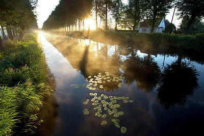 BUITEN BEELD Foto: 185790