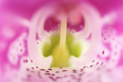 BUITEN BEELD Foto: 185825
