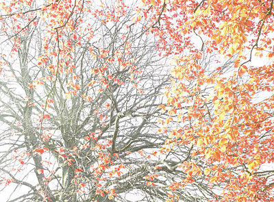 BUITEN BEELD Foto: 185844