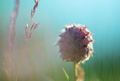 BUITEN BEELD Foto: 185880