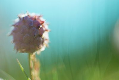 BUITEN BEELD Foto: 185887