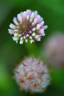 BUITEN BEELD Foto: 185902