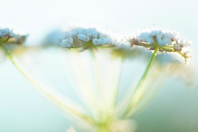 BUITEN BEELD Foto: 185928