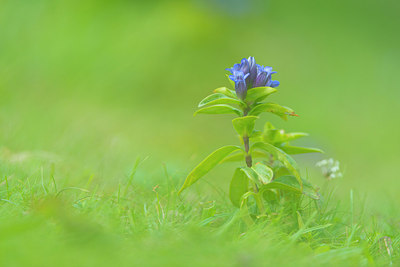 BUITEN BEELD Foto: 185930