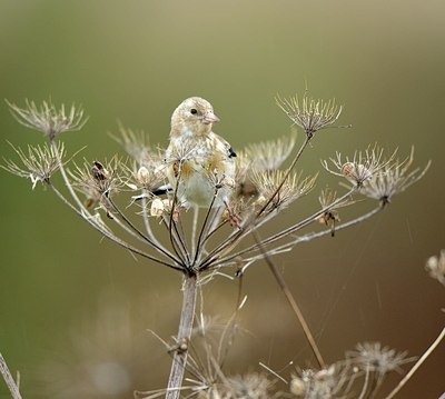 BUITEN BEELD Foto: 185956