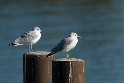 BUITEN BEELD Foto: 186061