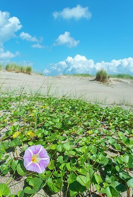 BUITEN BEELD Foto: 186151