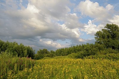 BUITEN BEELD Foto: 186235