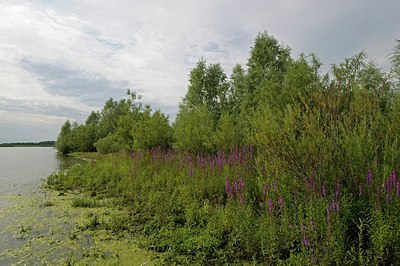 BUITEN BEELD Foto: 186236
