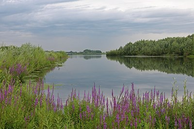 BUITEN BEELD Foto: 186240