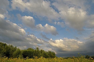 BUITEN BEELD Foto: 186242