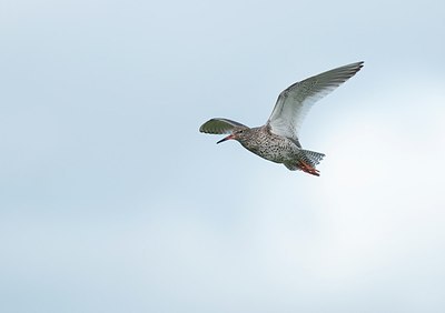 BUITEN BEELD Foto: 186299