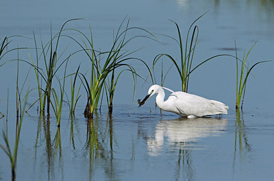 BUITEN BEELD Foto: 186307