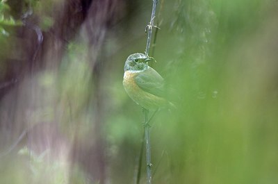 BUITEN BEELD Foto: 186314