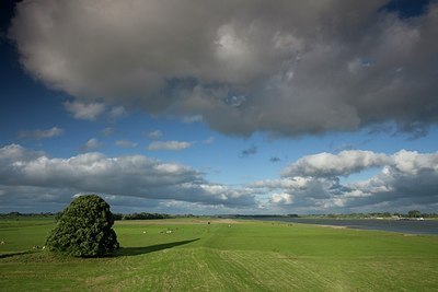 BUITEN BEELD Foto: 186360