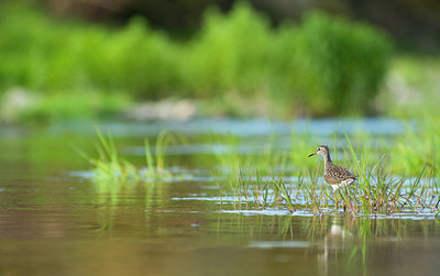 BUITEN BEELD Foto: 186463