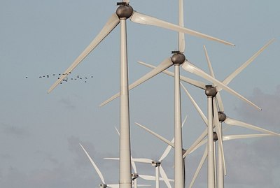 BUITEN BEELD Foto: 186476
