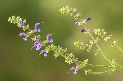 BUITEN BEELD Foto: 186553