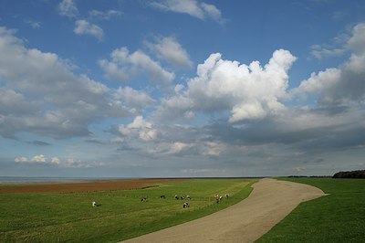 BUITEN BEELD Foto: 186569