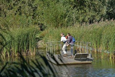 BUITEN BEELD Foto: 186583