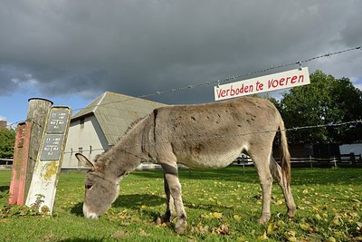 BUITEN BEELD Foto: 186591