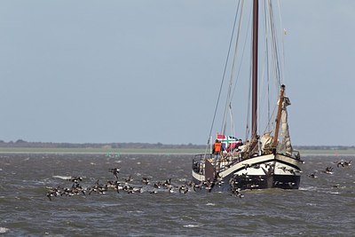 BUITEN BEELD Foto: 186630