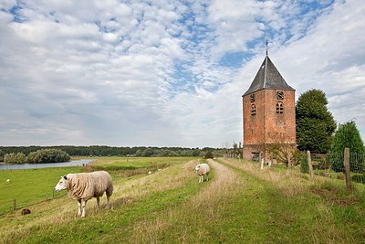 BUITEN BEELD Foto: 186634