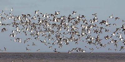 BUITEN BEELD Foto: 186670