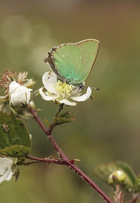 BUITEN BEELD Foto: 186745