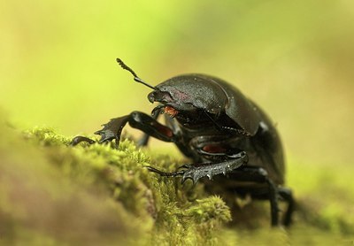 BUITEN BEELD Foto: 186780