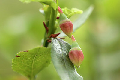 BUITEN BEELD Foto: 186806