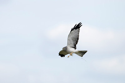 BUITEN BEELD Foto: 186825