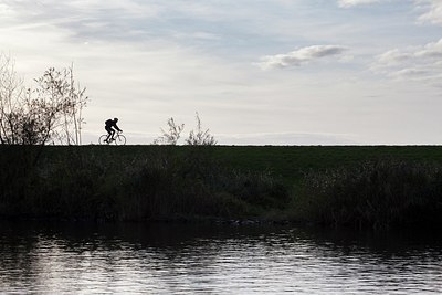 BUITEN BEELD Foto: 186883