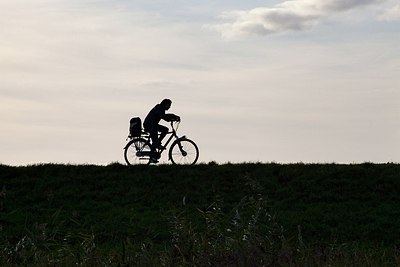 BUITEN BEELD Foto: 186884