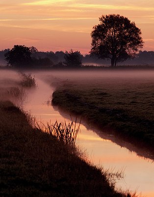 BUITEN BEELD Foto: 186971