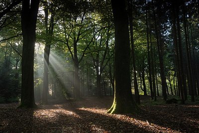 BUITEN BEELD Foto: 186997