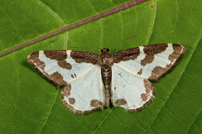 BUITEN BEELD Foto: 187084