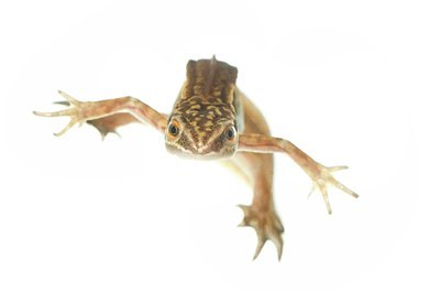 BUITEN BEELD Foto: 187249