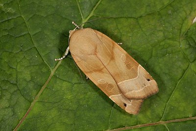 BUITEN BEELD Foto: 187300