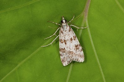 BUITEN BEELD Foto: 187322
