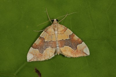BUITEN BEELD Foto: 187349
