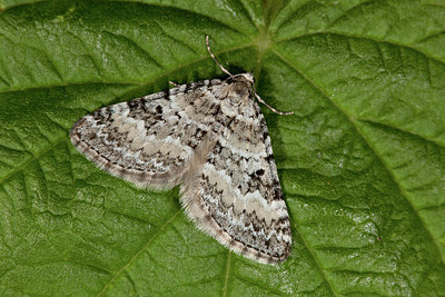 BUITEN BEELD Foto: 187376