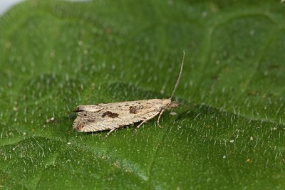 BUITEN BEELD Foto: 187515