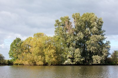 BUITEN BEELD Foto: 187541