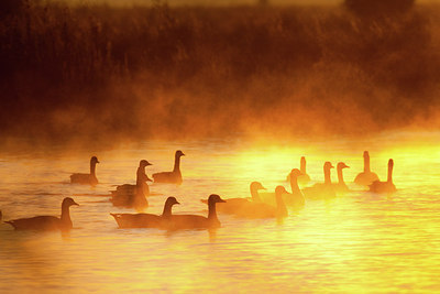 BUITEN BEELD Foto: 187557