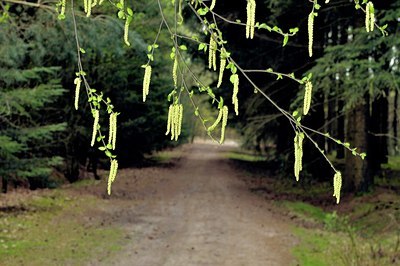 BUITEN BEELD Foto: 187669